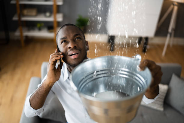 Best Sewage cleanup and water damage restoration  in Honsville, GA