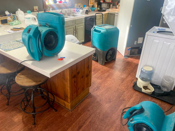 Best Water damage restoration company  in Honsville, GA