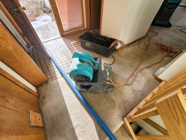Best Water damage restoration near me  in Honsville, GA