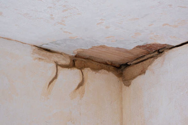 Best Flooded house restoration  in Honsville, GA