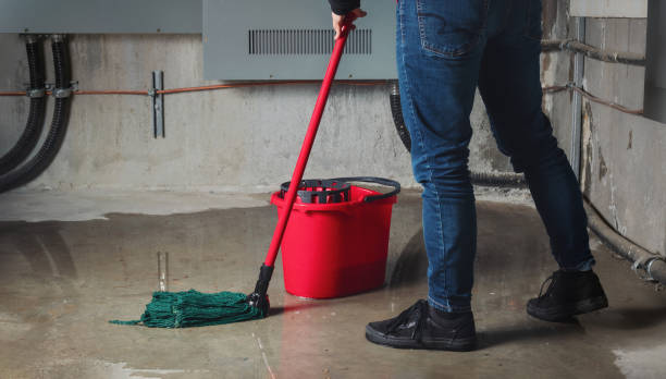 Best Local water damage restoration  in Honsville, GA