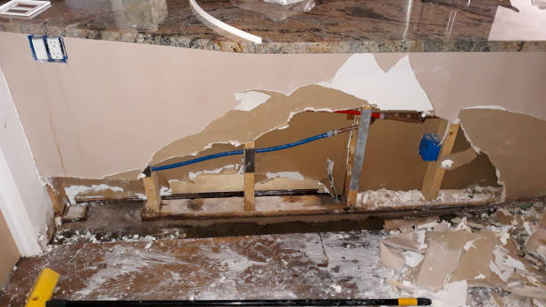 Best 24/7 water damage repair  in Honsville, GA