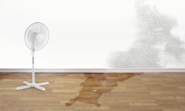 Best Fire Damage Restoration  in Honsville, GA