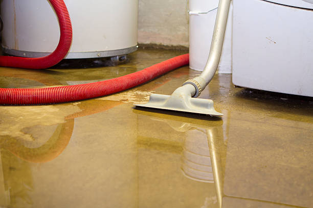 Best Professional water damage repair  in Honsville, GA