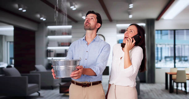 Best Mold removal after water damage  in Honsville, GA